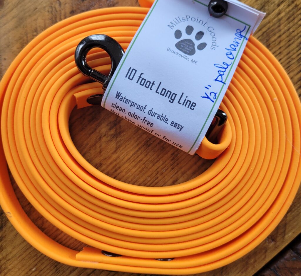 training tool: 10 foot Longline, pale orange