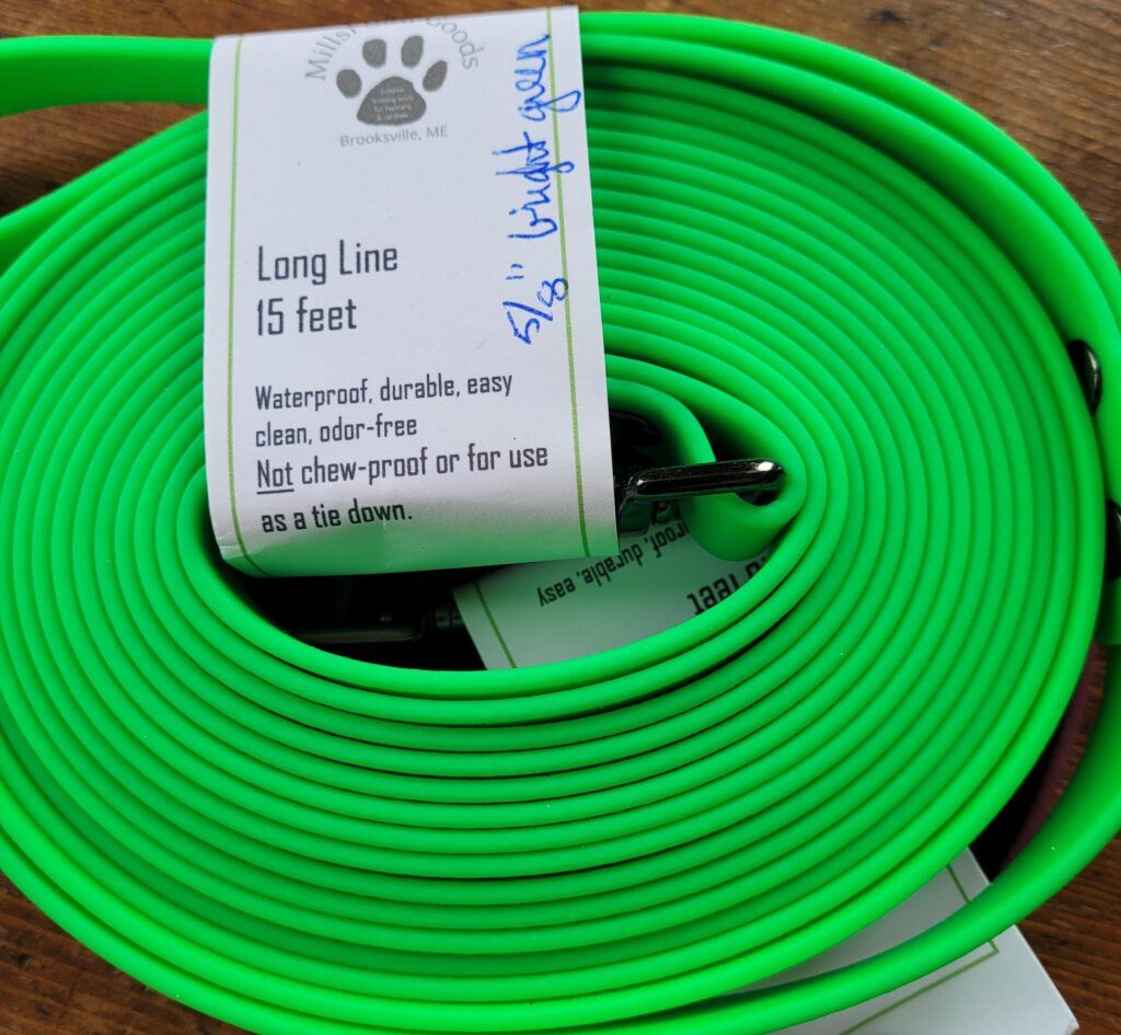 training tool: 15 foot, 5/8 inch wide Longline, bright green